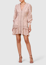 Load image into Gallery viewer, Nouveau Embroidery Mini Dress (Pink Clay) by Ministry of Style
