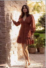 Load image into Gallery viewer, Nouveau Embroidery Mini Dress (Rustic) by Ministry of Style
